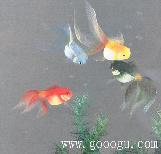 金魚自由自在的游動(dòng)、展現(xiàn)出形態(tài)優(yōu)美的舞姿！